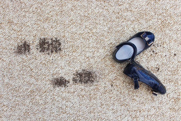 A dirty carpet that could use a good apartment cleaning.