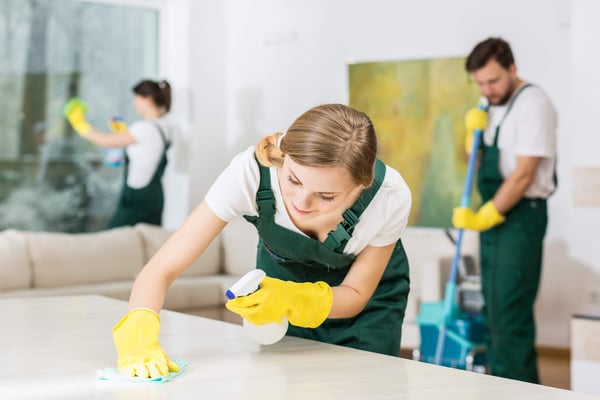 healthy house cleaning 0