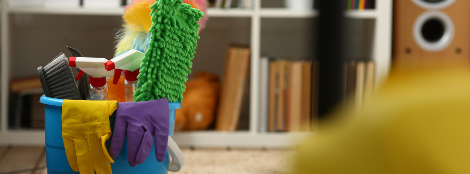 healthy home cleaning 9 (177)